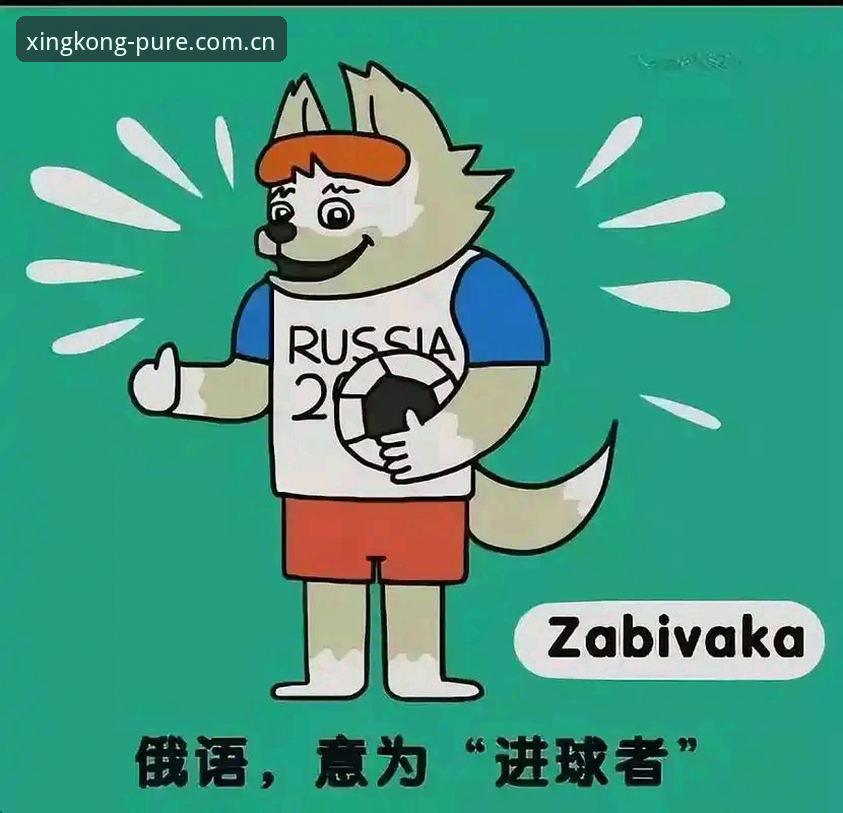 读懂德尚的用人逻辑：世界杯取胜背后的信息差指南